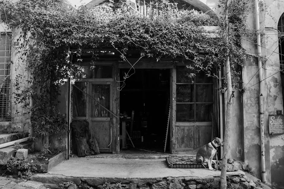 A rustic building's entrance covered in vines with a dog sitting nearby, captured in black and white.