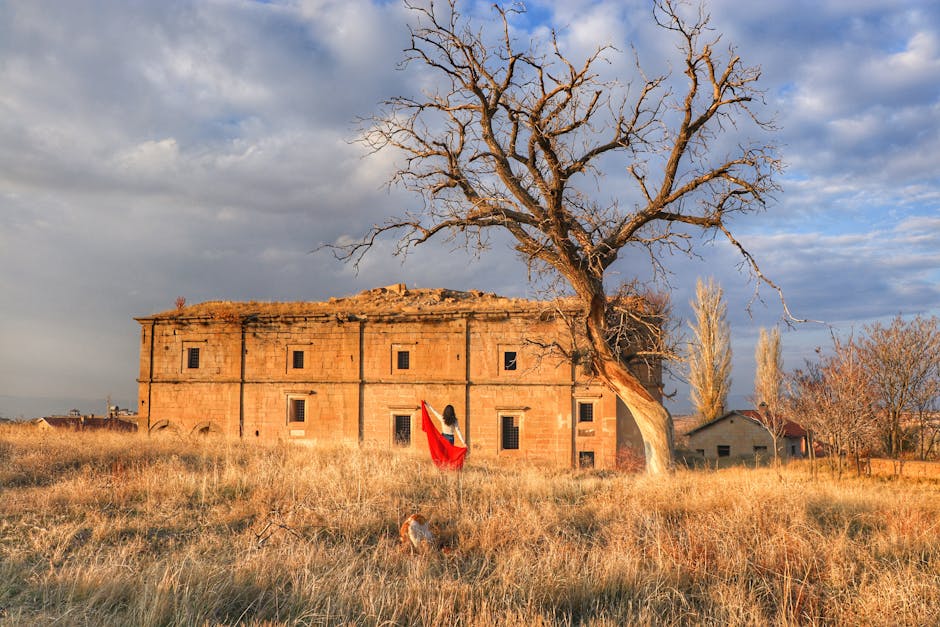 Abandoned building beside a solitary tree with a person in red, under a dramatic sky.